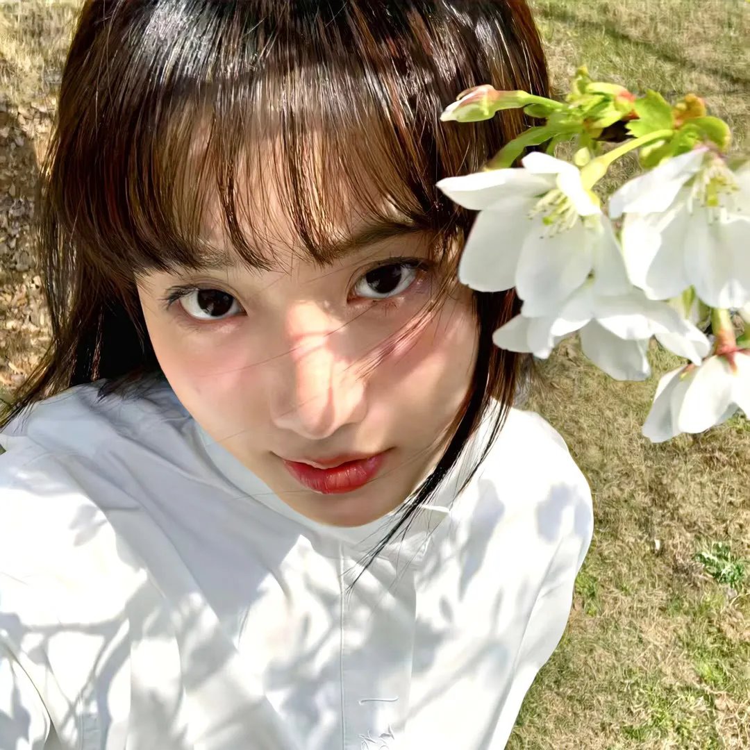 朱门玉碎